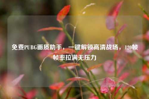 免费PUBG画质助手,一键解锁高清战场,120帧帧率拉满无压力