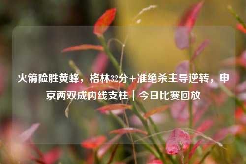 火箭险胜黄蜂，格林32分+准绝杀主导逆转，申京两双成内线支柱｜今日比赛回放