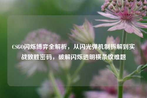 CSGO闪烁博弈全解析,从闪光弹机制拆解到实战致胜密码,破解闪烁透明横条纹难题