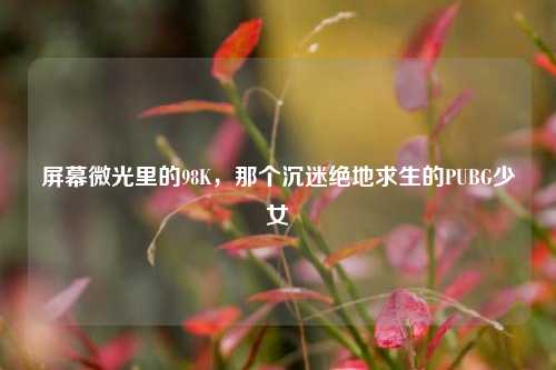 屏幕微光里的98K,那个沉迷绝地求生的PUBG少女