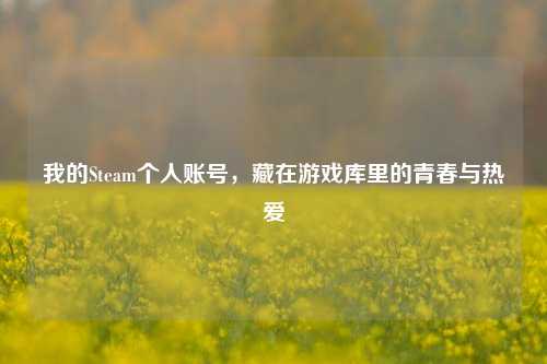 我的Steam个人账号，藏在游戏库里的青春与热爱