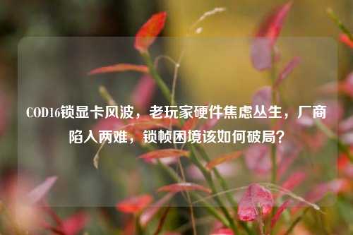 COD16锁显卡风波,老玩家硬件焦虑丛生,厂商陷入两难,锁帧困境该如何破局?