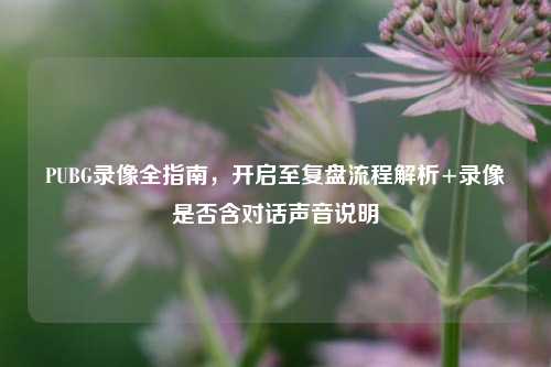 PUBG录像全指南，开启至复盘流程解析+录像是否含对话声音说明