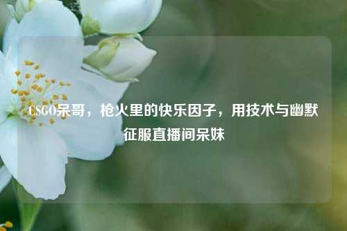 CSGO呆哥，枪火里的快乐因子，用技术与幽默征服直播间呆妹