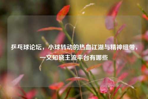 乒乓球论坛，小球转动的热血江湖与精神纽带，一文知晓主流平台有哪些