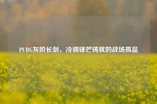 PUBG灰阶长剑,冷调锋芒铸就的战场孤品