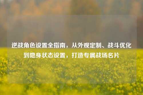 逆战角色设置全指南,从外观定制、战斗优化到隐身状态设置,打造专属战场名片