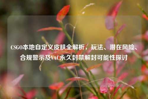 CSGO本地自定义皮肤全解析,玩法、潜在风险、合规警示及VAC永久封禁解封可能性探讨