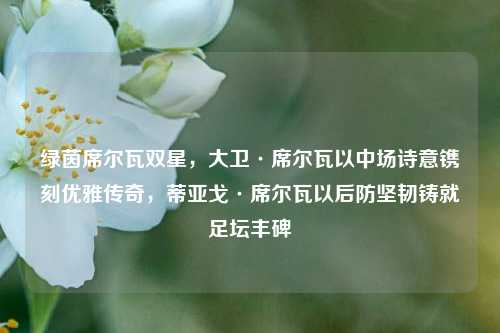 绿茵席尔瓦双星，大卫·席尔瓦以中场诗意镌刻优雅传奇，蒂亚戈·席尔瓦以后防坚韧铸就足坛丰碑