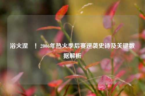 浴火涅槃!2006年热火季后赛逆袭史诗及关键数据解析