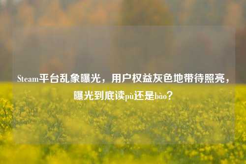 Steam平台乱象曝光,用户权益灰色地带待照亮,曝光到底读pù还是bào?