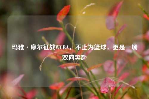 玛雅·摩尔征战WCBA，不止为篮球，更是一场双向奔赴