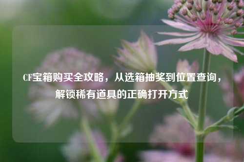 CF宝箱购买全攻略,从选箱抽奖到位置查询,解锁稀有道具的正确打开方式