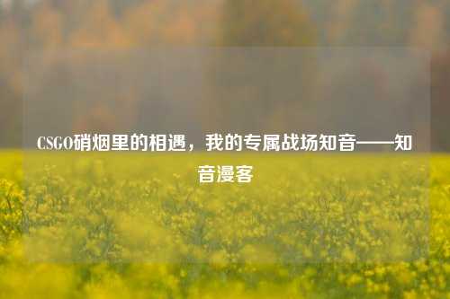 CSGO硝烟里的相遇,我的专属战场知音——知音漫客