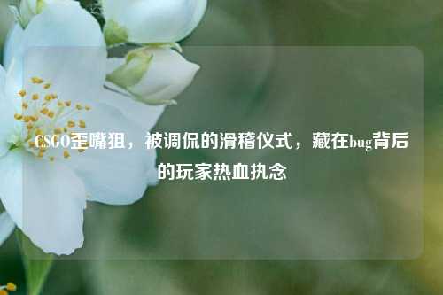 CSGO歪嘴狙,被调侃的滑稽仪式,藏在bug背后的玩家热血执念