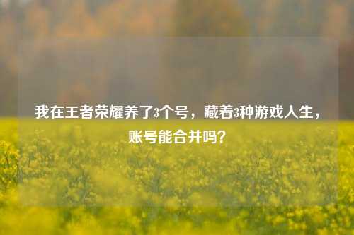 我在王者荣耀养了3个号，藏着3种游戏人生，账号能合并吗？