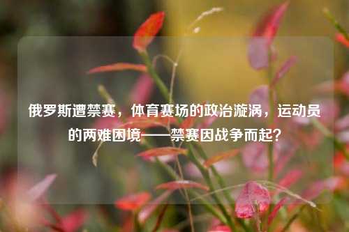 俄罗斯遭禁赛,体育赛场的政治漩涡,运动员的两难困境——禁赛因战争而起?