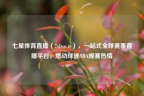 七星体育直播(7xlive tv),一站式全球赛事直播平台,燃动球迷NBA观赛热情