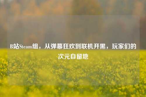B站Steam组,从弹幕狂欢到联机开黑,玩家们的次元自留地