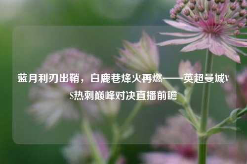 蓝月利刃出鞘,白鹿巷烽火再燃——英超曼城VS热刺巅峰对决直播前瞻