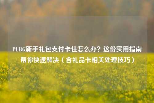 PUBG新手礼包支付卡住怎么办?这份实用指南帮你快速解决(含礼品卡相关处理技巧)