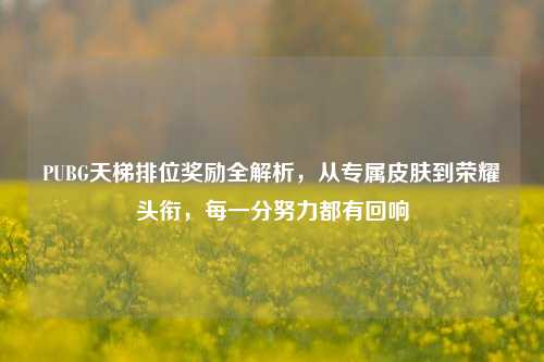 PUBG天梯排位奖励全解析,从专属皮肤到荣耀头衔,每一分努力都有回响