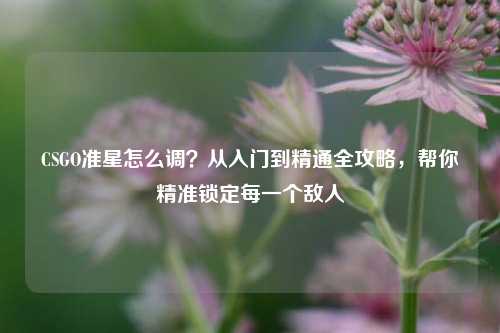 CSGO准星怎么调?从入门到精通全攻略,帮你精准锁定每一个敌人