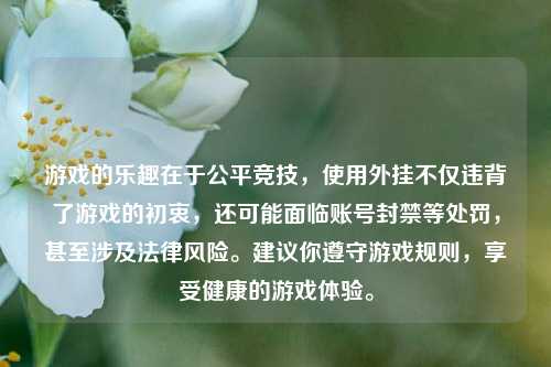 游戏的乐趣在于公平竞技,使用外挂不仅违背了游戏的初衷,还可能面临账号封禁等处罚,甚至涉及法律风险。建议你遵守游戏规则,享受健康的游戏体验。