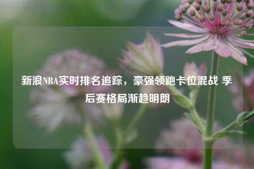 新浪NBA实时排名追踪,豪强领跑卡位混战 季后赛格局渐趋明朗