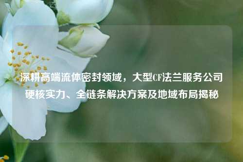 深耕高端流体密封领域,大型CF法兰服务公司硬核实力、全链条解决方案及地域布局揭秘