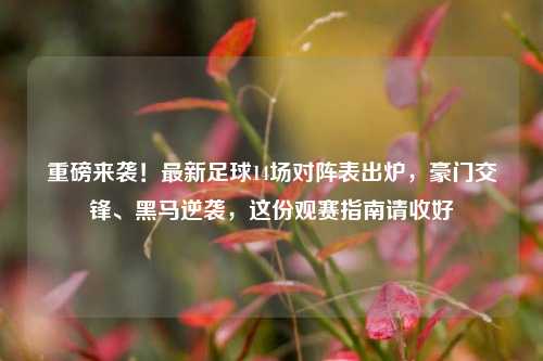 重磅来袭!最新足球14场对阵表出炉,豪门交锋、黑马逆袭,这份观赛指南请收好