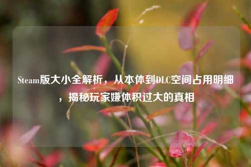 Steam版大小全解析,从本体到DLC空间占用明细,揭秘玩家嫌体积过大的真相