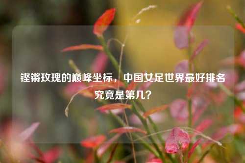 铿锵玫瑰的巅峰坐标,中国女足世界最好排名究竟是第几?
