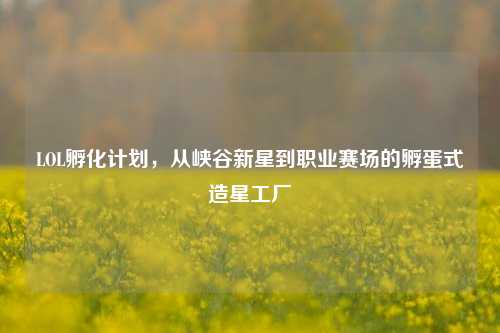 LOL孵化计划，从峡谷新星到职业赛场的孵蛋式造星工厂