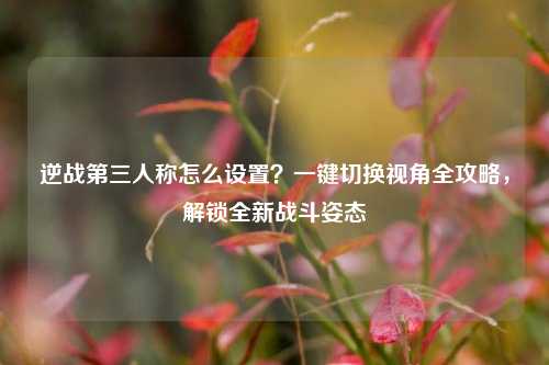 逆战第三人称怎么设置？一键切换视角全攻略，解锁全新战斗姿态