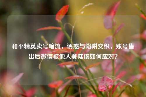 和平精英卖号暗流,诱惑与陷阱交织,账号售出后微信被他人登陆该如何应对?