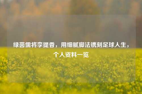 绿茵儒将李提香,用细腻脚法镌刻足球人生,个人资料一览