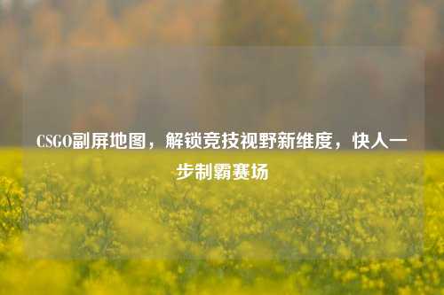 CSGO副屏地图,解锁竞技视野新维度,快人一步制霸赛场