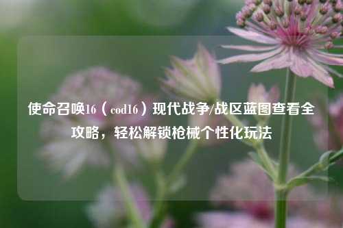 使命召唤16(cod16)现代战争/战区蓝图查看全攻略,轻松解锁枪械个性化玩法