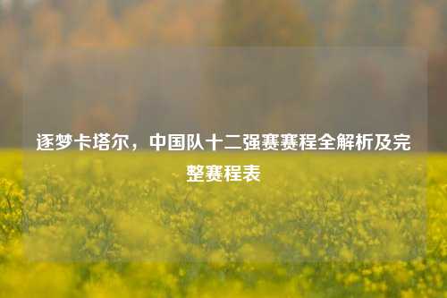 逐梦卡塔尔,中国队十二强赛赛程全解析及完整赛程表