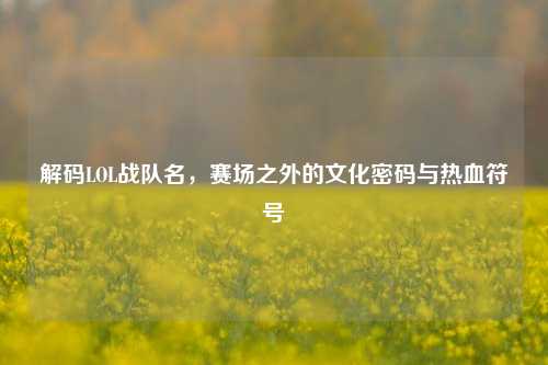 解码LOL战队名,赛场之外的文化密码与热血符号