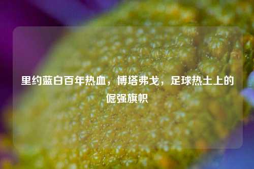 里约蓝白百年热血,博塔弗戈,足球热土上的倔强旗帜