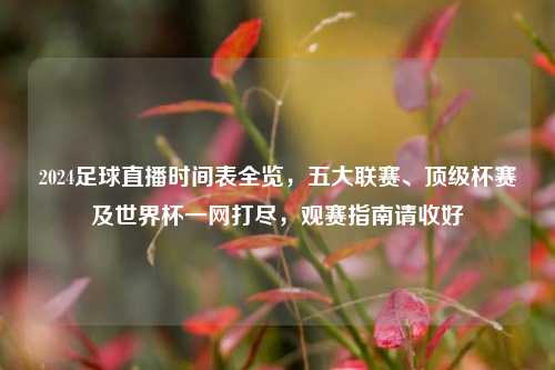 2024足球直播时间表全览,五大联赛、顶级杯赛及世界杯一网打尽,观赛指南请收好