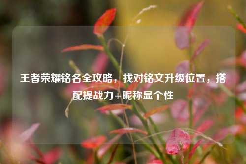 王者荣耀铭名全攻略,找对铭文升级位置,搭配提战力+昵称显个性