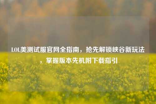 LOL美测试服官网全指南,抢先解锁峡谷新玩法,掌握版本先机附下载指引