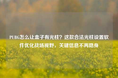 PUBG怎么让盒子有光柱?这款合法光柱设置软件优化战场视野,关键信息不再隐身
