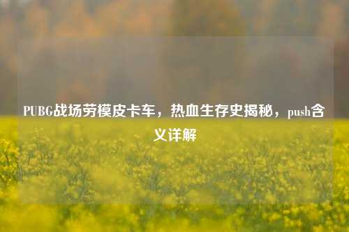 PUBG战场劳模皮卡车,热血生存史揭秘,push含义详解