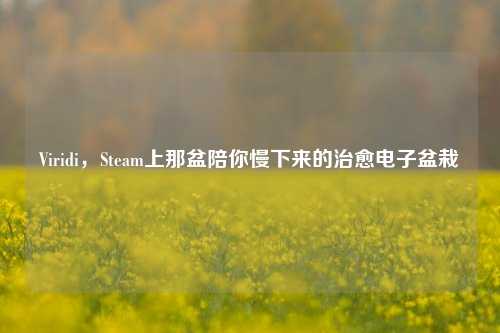 Viridi，Steam上那盆陪你慢下来的治愈电子盆栽
