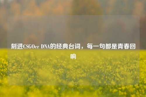 刻进CSGOer DNA的经典台词,每一句都是青春回响