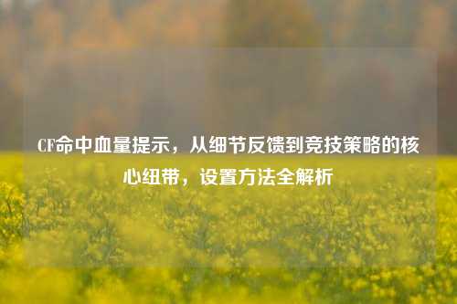 CF命中血量提示，从细节反馈到竞技策略的核心纽带，设置方法全解析